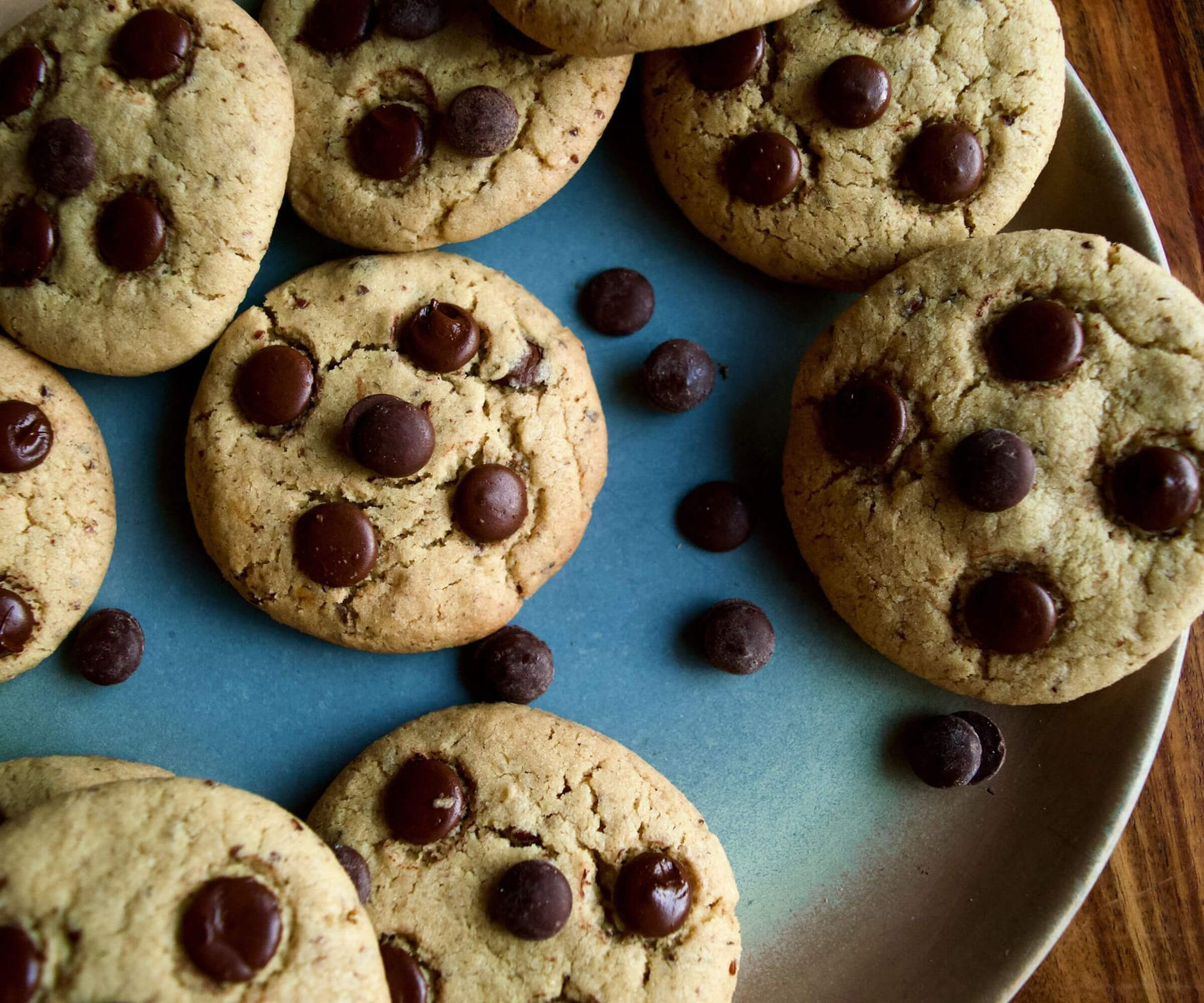 CHOCOLATE CHIP COOKIE(W/V)